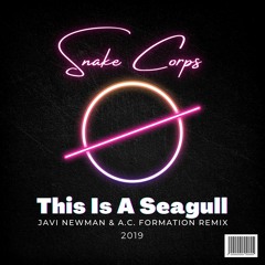 Snake Corps Vs Pg2 - This Is A Seagull (Javi Newman & A.C Remix 2019)