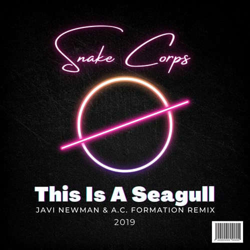 Snake Corps Vs Pg2 - This Is A Seagull (Javi Newman & A.C Remix 2019)
