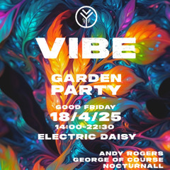 Vibe 18/04/25