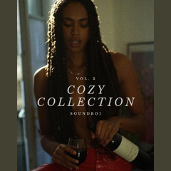 Cozy Collection Vol. 2