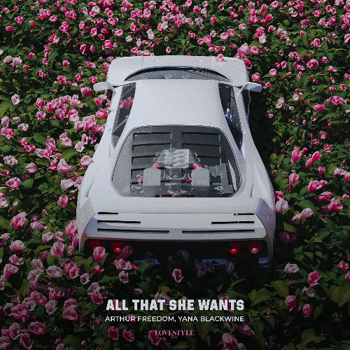 Arthur Freedom, Yana Blackwine - All That She Wants [Cover Of Ace of Base]