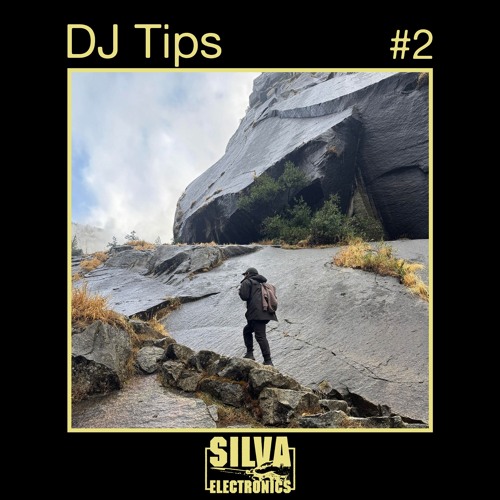 SE Podcast 2: DJ Tips