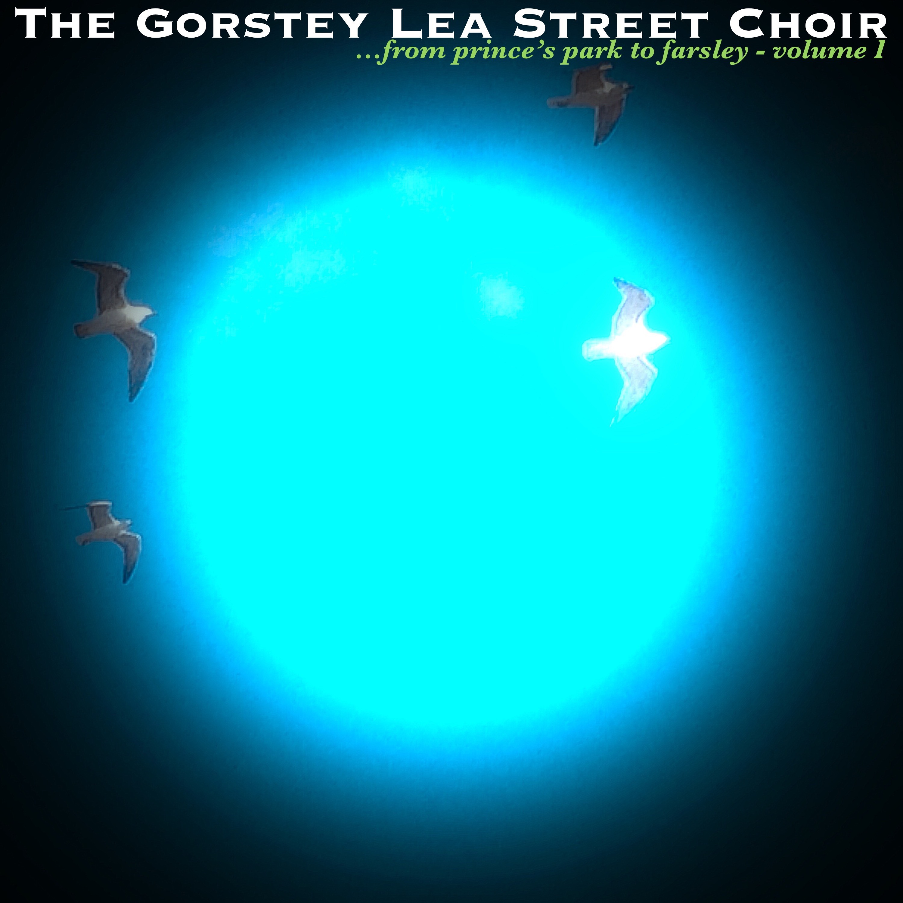 The Gorstey Lea Street Choir