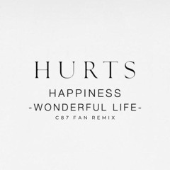 Hurts - Wonderful Life (C87 Fan Remix)