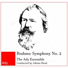 Brahms 2nd Symphony: 1st Movement