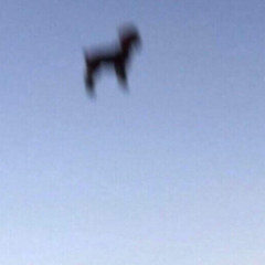 Killstreak