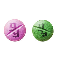 SKI & WOK - 99 NELLE CASSE