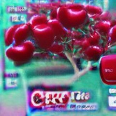 cherry red prod. cccaba x tadeoexq