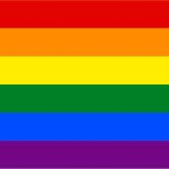 Pride Month #gay #lsd #lgb #gay nigga 😹 (@22MINALTERAL)