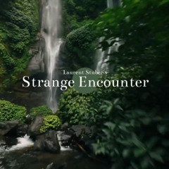 Strange Encounter (extract)