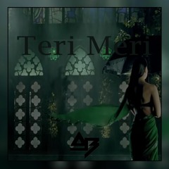 Teri Meri (Remix)