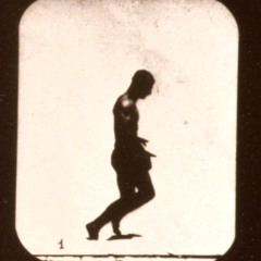 2511-Circulating Shadows