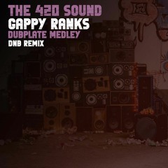 Gappy Ranks Dubplate Medley DNB Remix
