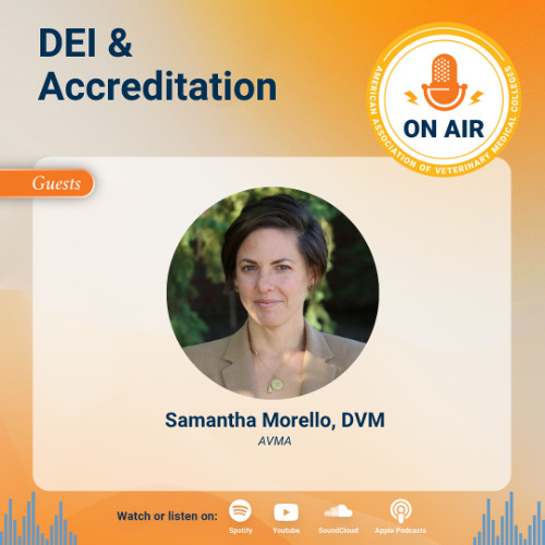 148: DEI and Accreditation