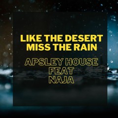 Apsley House Feat. NAJA - Like The Desert Miss The Rain