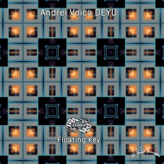 Andrei Voica & DEYU - Floating Key • Zebra Rec. [ZBR018] • 2022 (snippet)