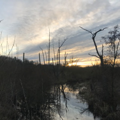 BMGPM_4TVM444_005_UNFOUND SOULS_main_Quidde