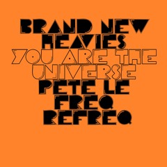 Brand New Heavies - You Are The Universe (Pete Le Freq Refreq)