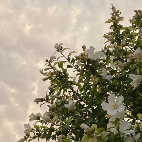 ‎⁨حُبُّكَ السَّاكنُ فيّا لم يَزلْ يهمي عليَّا.. ﷺ