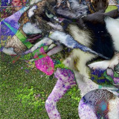 *1/26/21 Z.B. Freestyle*