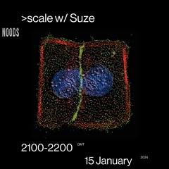 >scale w/ Suze - Noods Radio - 15.01.24