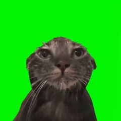 relapse prod.1jowisen