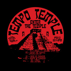 Enter The Temple (Outstanding Invoice Mix)
