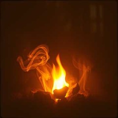 Feed the Fire