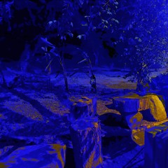 §BlueLineTribal B3B§ • Altact x SIRIUS x KEPLER-6