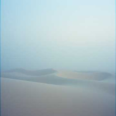 Hushed Horizon