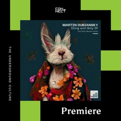 PREMIERE: Martin Dubiansky - Sting and Grey [Atmosphere Records]