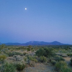 Such A Wonderful Life v8