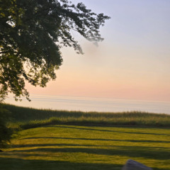 nothing to offer (prod. under the maple tree)