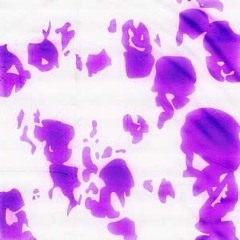 prolly my spookiest song (ProdBy668)