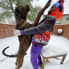 Oui ("Wee") no Nintendo (prod. Kaiso)