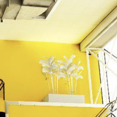 008. im happy we at least met