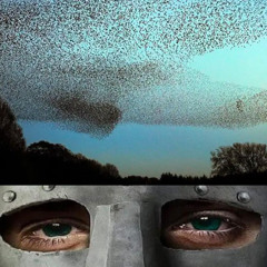 SIEGE [prod. charon]