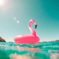 SummertimeSummernights