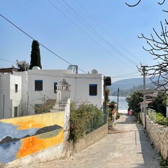 Aegean Mix | Feb 21'
