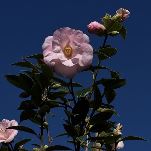 A Colourful Storm - Mysterious Skin 011225