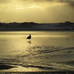 Nun: AaLian Thang.mp3