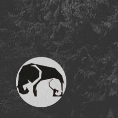 LITTLE ELEPHANT RETURN TO TECHNO