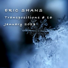Transpositions # 16  - January 2023 Mix