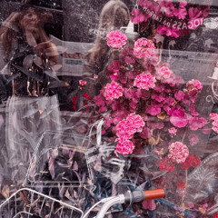 17th time that autumn  - live from bergen