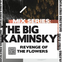 SHNGMIX19 Revenge Of The Flowers Mix Series: The Big Kaminsky