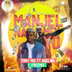 ManjeL Nan Men Yo - Tony Mix Ft Aselwa & FreeMix [REMIX]