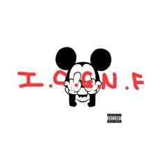 I.C.G.N.F