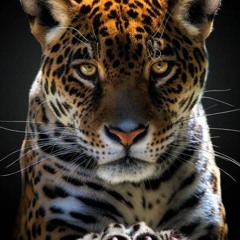 take me down to the river