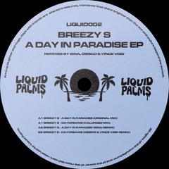 PREMIERE: Breezy S - Daydreams (Diesco & Vince Void Remix) [Liquid Palms]