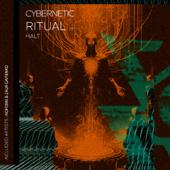 Halt - Cybernetic Ritual (Noform remix)
